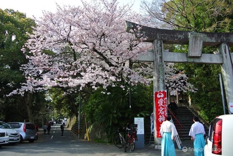 愛宕神社は春には人気の桜スポットに