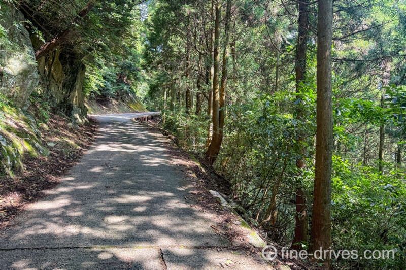 米の山展望台への道中で道幅が狭くなる箇所