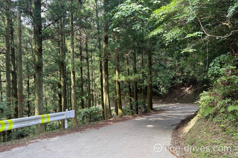 米の山展望台付近の狭い山道
