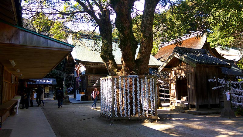 糸島 櫻井神社