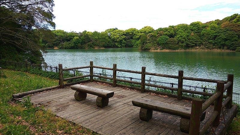 西南杜の湖畔公園 湖を眺めるベンチ