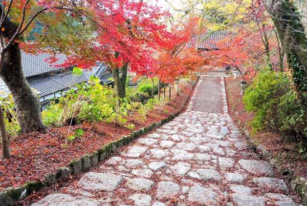 福岡県秋月の紅葉