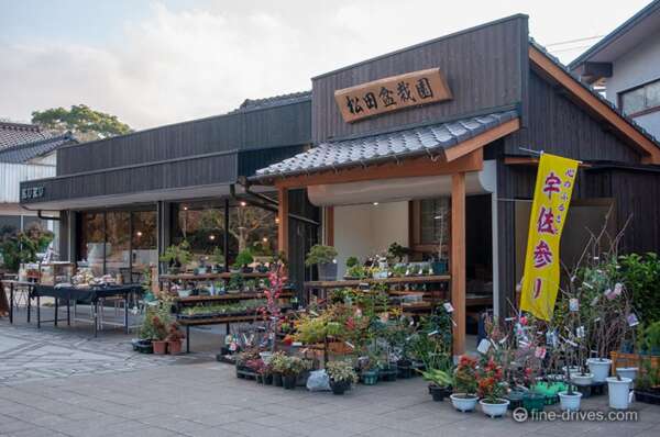 松田盆栽園